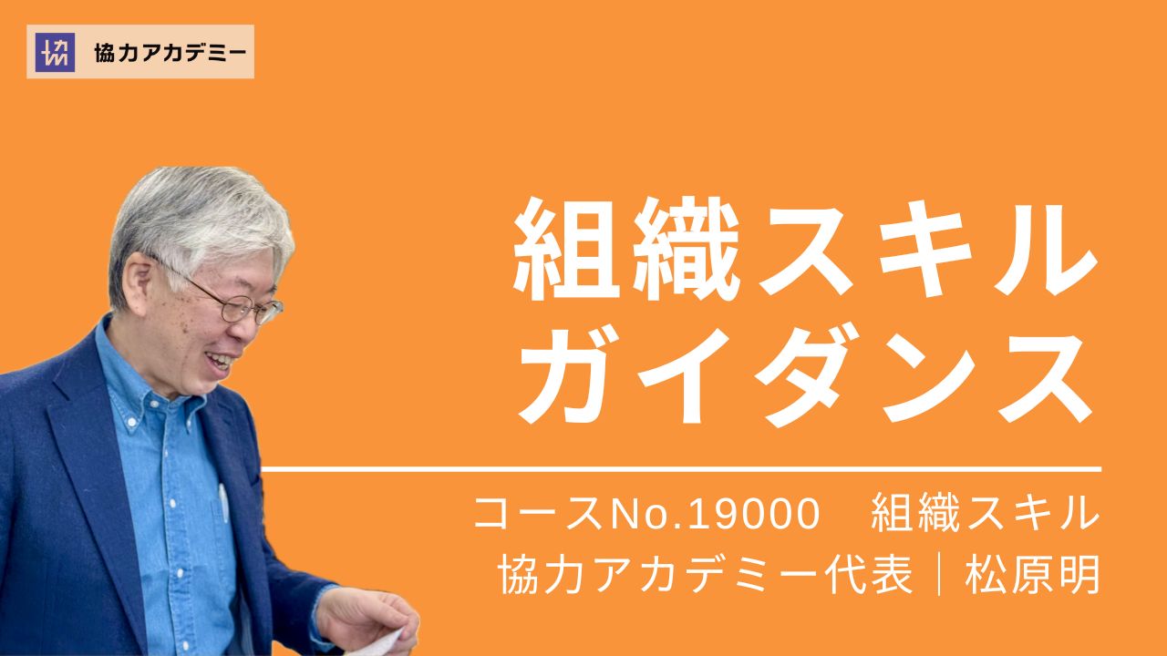 組織スキル・ガイダンス　