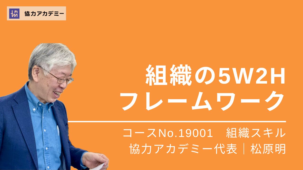 組織の5W2Hフレームワーク